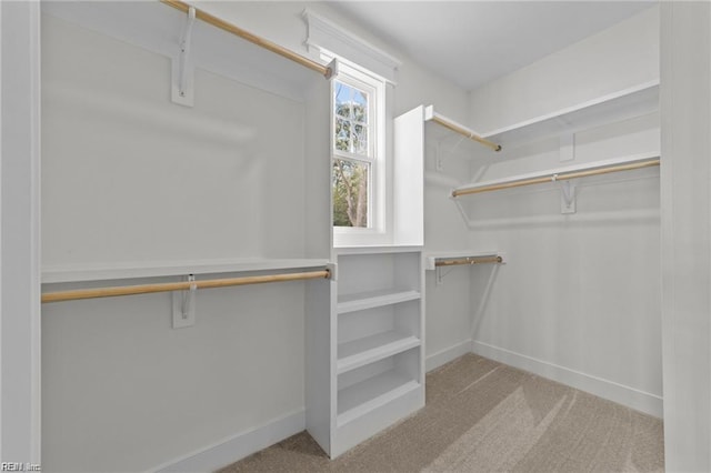 spacious closet with carpet floors