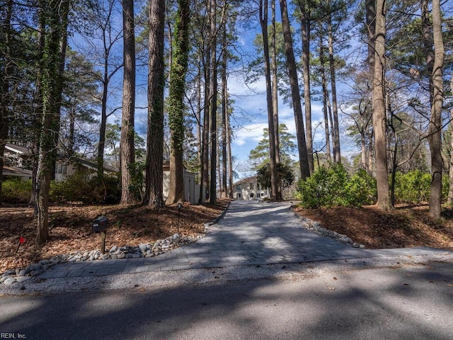 view of road with driveway