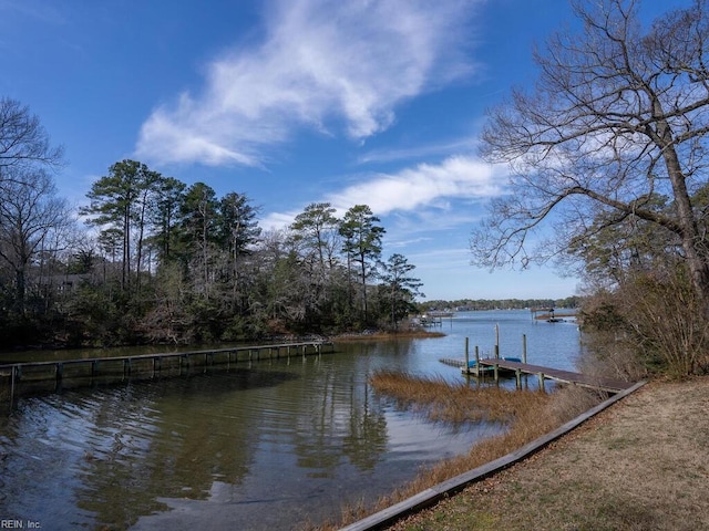 dock area with a water view