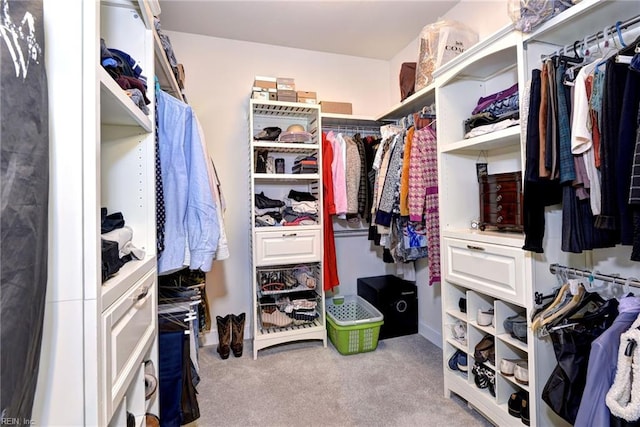 walk in closet featuring carpet