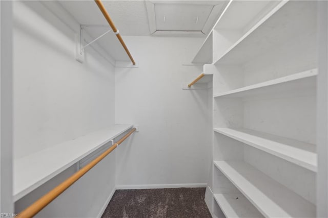 spacious closet featuring dark carpet and attic access