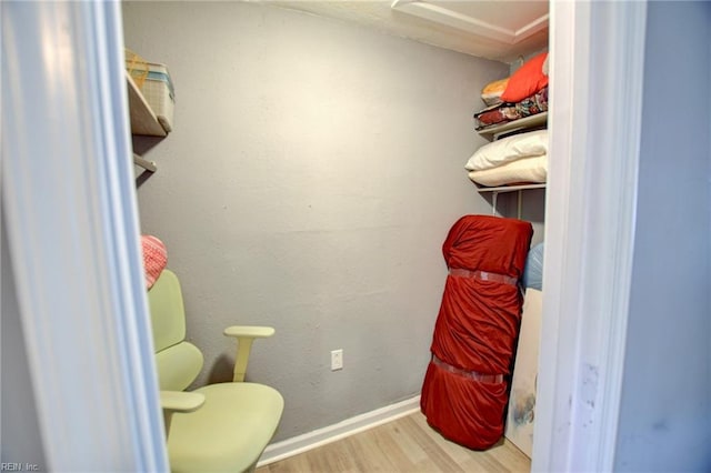 walk in closet featuring wood finished floors