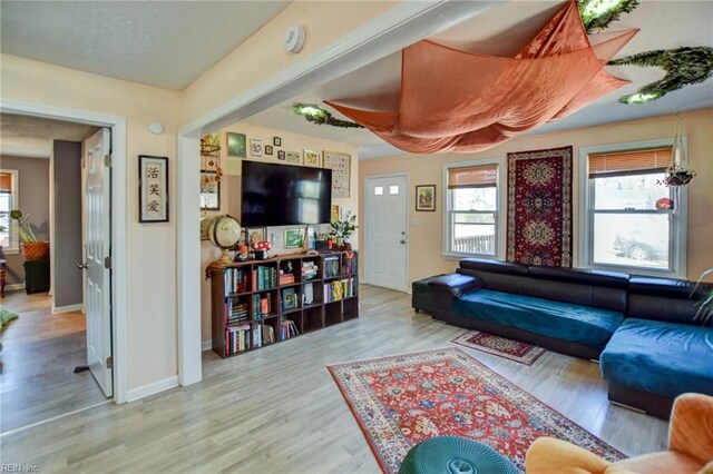 living room with baseboards and wood finished floors