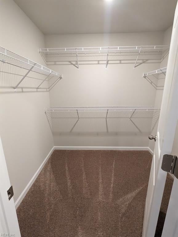 walk in closet with carpet floors