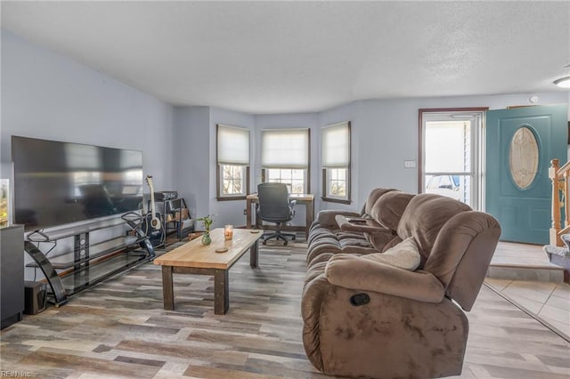 living room featuring wood finished floors and a wealth of natural light