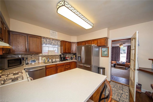 kitchen with a peninsula, appliances with stainless steel finishes, a sink, and light countertops