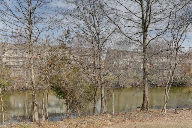 view of water feature