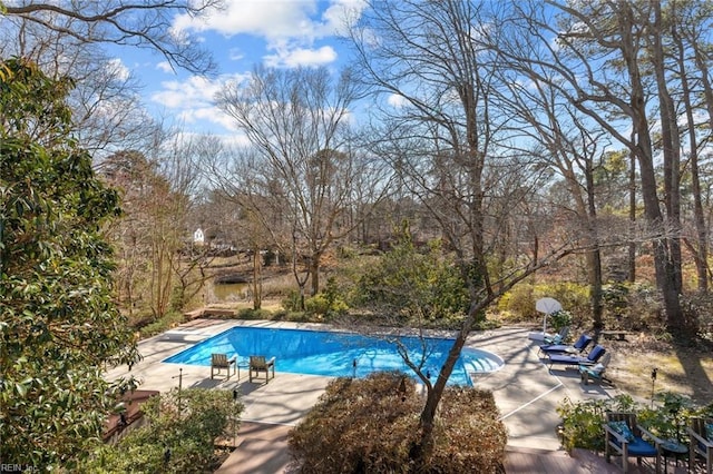 view of swimming pool featuring a covered pool, a patio, and a diving board