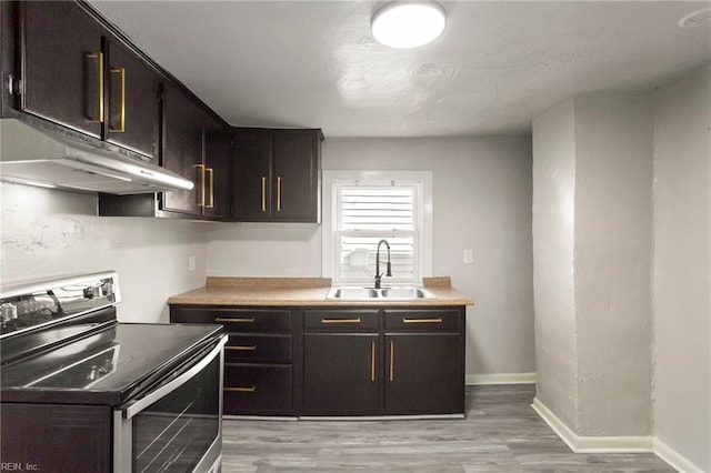 kitchen with dark brown cabinetry, under cabinet range hood, a sink, light wood finished floors, and stainless steel range with electric stovetop