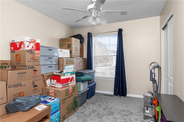 storage with ceiling fan