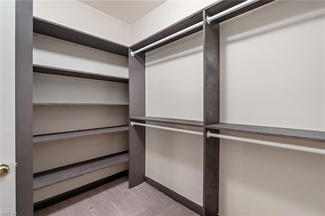 walk in closet with carpet flooring