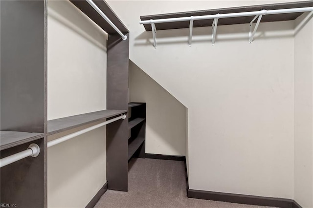 walk in closet with carpet