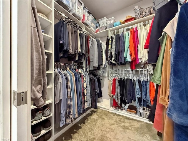 spacious closet featuring carpet floors