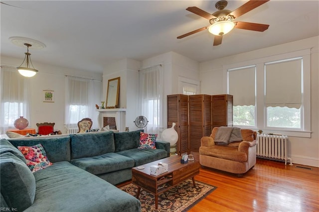 living area featuring light wood finished floors, a fireplace, a wealth of natural light, and radiator