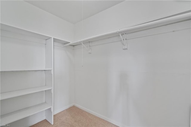 walk in closet featuring carpet flooring