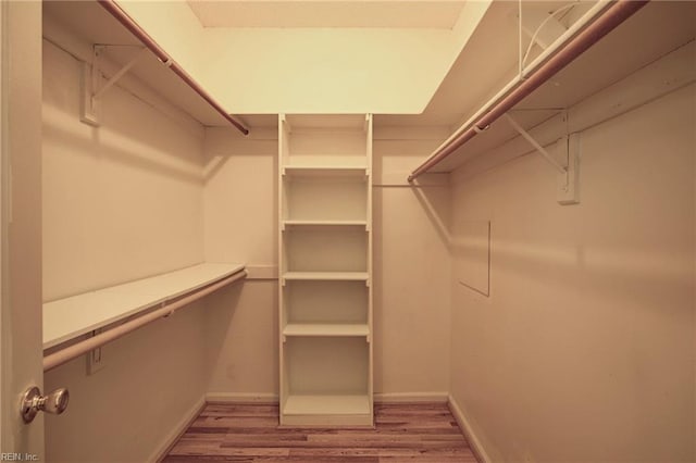 walk in closet featuring wood finished floors