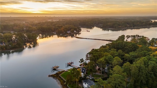 bird's eye view with a view of trees and a water view