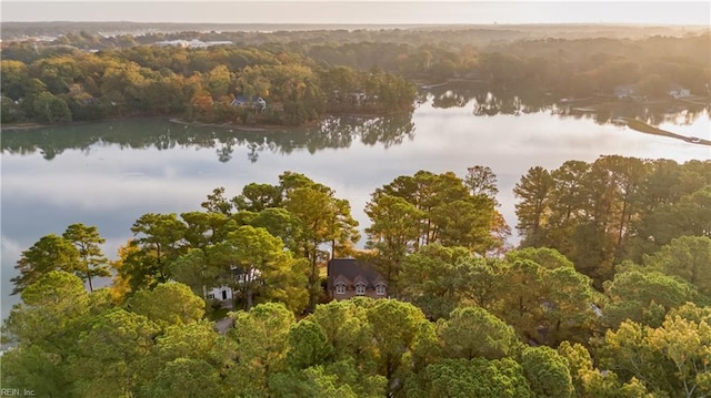 drone / aerial view featuring a forest view and a water view