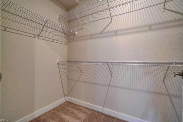 spacious closet with carpet flooring