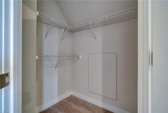 spacious closet featuring carpet floors