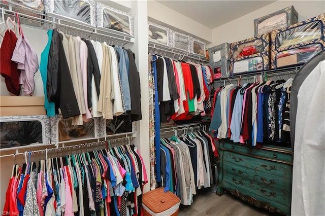 spacious closet featuring wood finished floors