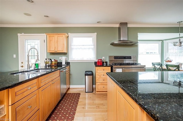 kitchen with stainless steel appliances, light wood-style floors, ornamental molding, a sink, and wall chimney range hood