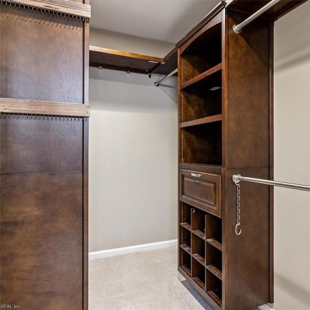 spacious closet featuring carpet