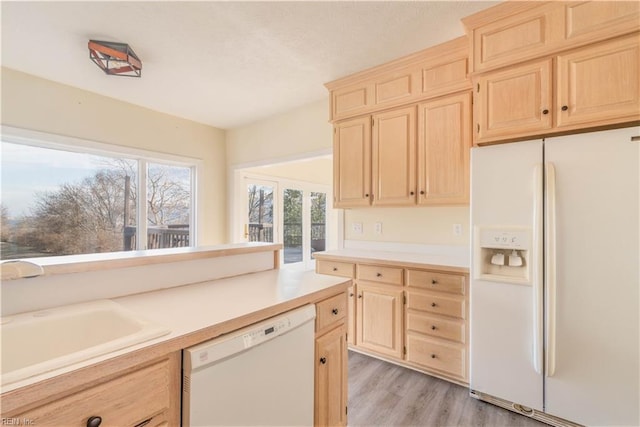 kitchen with light wood finished floors, light countertops, light brown cabinetry, a sink, and white appliances