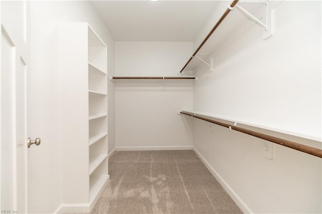 spacious closet with carpet floors