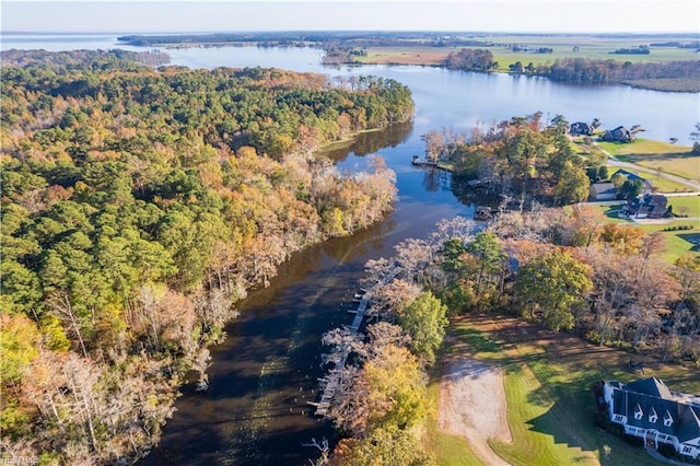 aerial view with a water view and a view of trees