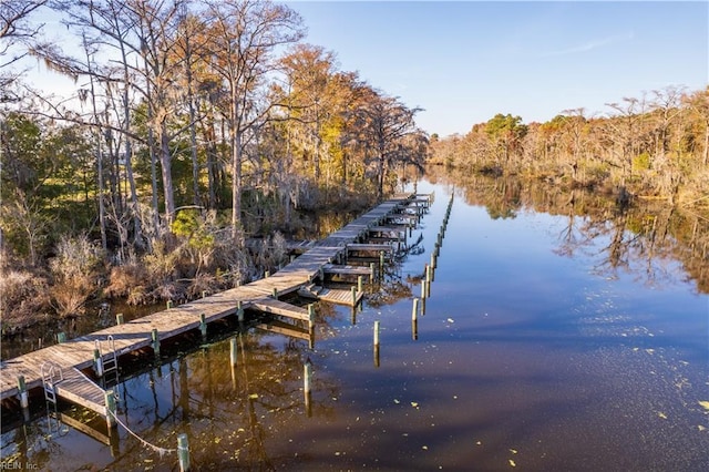 view of dock featuring a water view and a view of trees