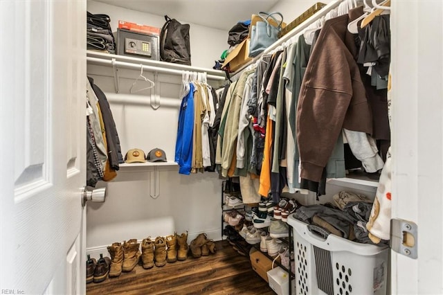 view of spacious closet