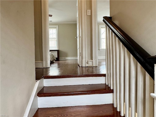 stairway with baseboards, ornamental molding, and wood finished floors