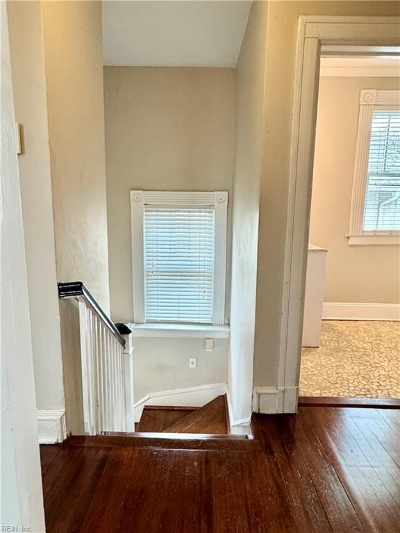 staircase with hardwood / wood-style flooring and baseboards