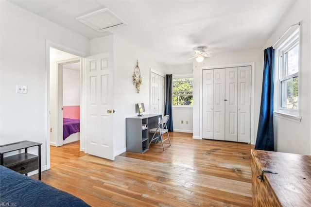 bedroom featuring ceiling fan, baseboards, multiple closets, light wood-type flooring, and attic access