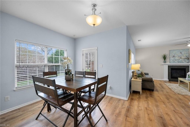 dining area featuring baseboards, ceiling fan, a fireplace with flush hearth, and light wood-style floors