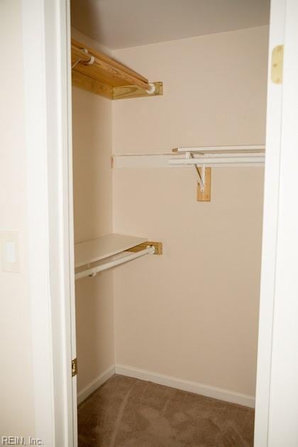 spacious closet with carpet floors