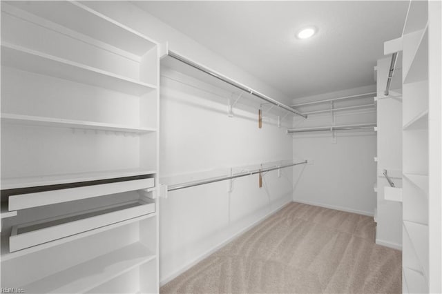 spacious closet with carpet floors