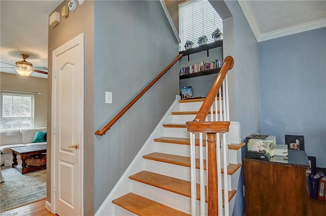 staircase with wood finished floors, crown molding, baseboards, and ceiling fan