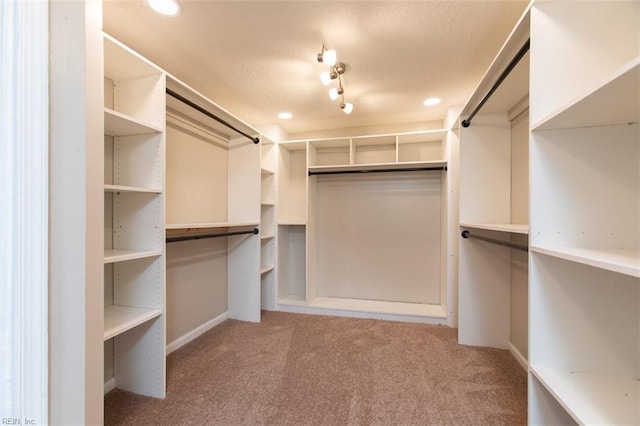 walk in closet featuring light colored carpet