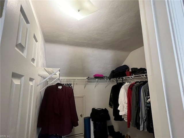 spacious closet with lofted ceiling