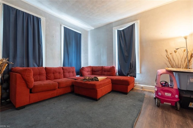 living room featuring wood finished floors