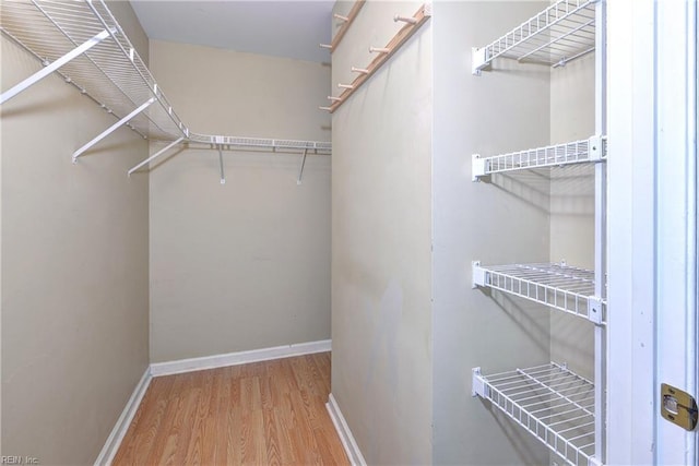 spacious closet featuring wood finished floors