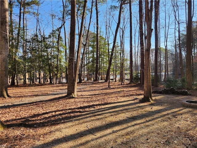 Listing photo 3 for 11.8AC Faison Rd, Wakefield VA 23888