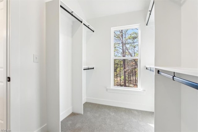 walk in closet featuring a barn door and light colored carpet