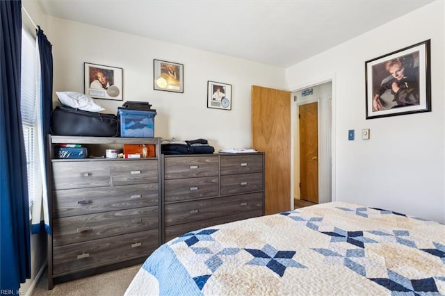 bedroom with carpet