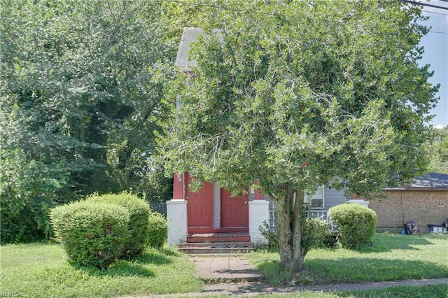 view of property hidden behind natural elements with entry steps and a front lawn