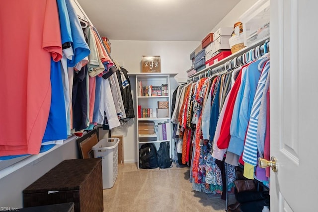 walk in closet featuring carpet floors