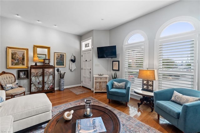 living room with baseboards and wood finished floors