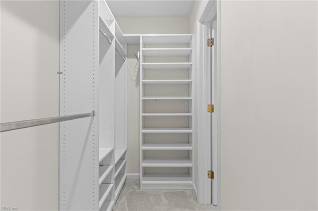 spacious closet with carpet